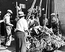 A sling of cargo on the pier apron