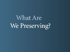 What Are We Preserving?